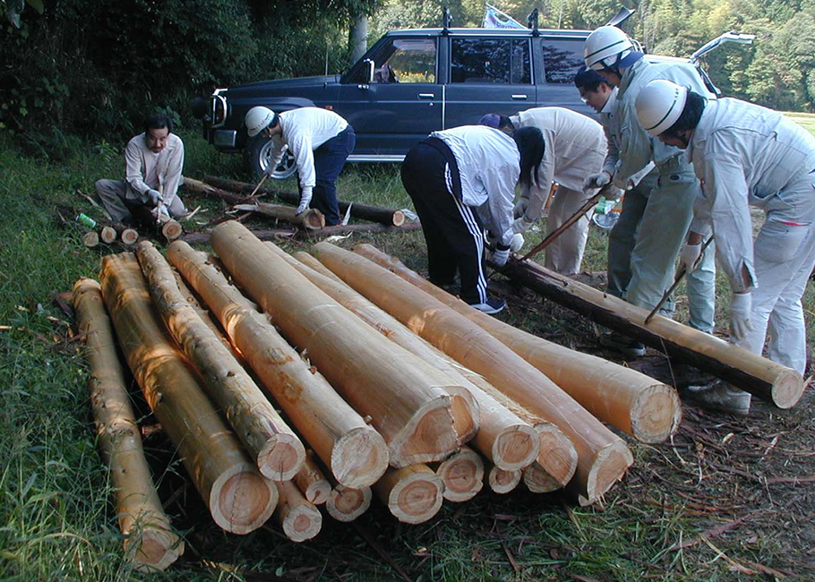 里山保全活動 イメージ画像